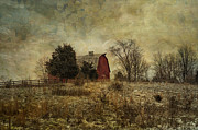 Heart of the Farm Photograph by Terry Rowe