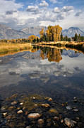 Heaven and Earth Photograph by Leda Robertson