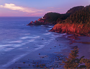 Heceta Head Lighthouse at Sunset Oregon coast Photograph by Dave Welling