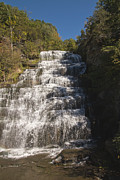 Hector Falls Photograph by William Norton Hector Falls Photograph by William Norton