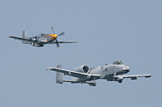 Heritage Flight A10 and P51 Front R Photograph by Donna Corless Heritage Flight A10 and P51 Front R Photograph by Donna Corless
