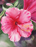 Hibiscus Painting by Irina Sztukowski