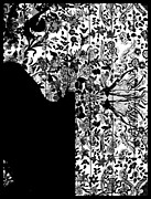 Hidden by Da Mask Photograph by Susan Maxwell Schmidt