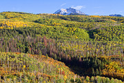 Higher and Higher Photograph by Jim Garrison
