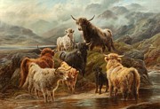Highland Cattle, 1894 Painting by Robert Watson