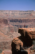 Hiker In The Grand Canyon Photograph by Mark Newman