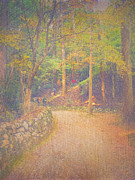 Hikers Walking Along Tranquil Kozan-ji Forest Kyoto Japan Photograph by Beverly Claire Kaiya