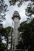 Hilton Head Rear Range Light Hilton Head Island South Carolina Photograph by Dawna Moore Photography