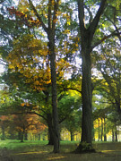 Hint of Autumn Photograph by Susan Savad Hint of Autumn Photograph by Susan Savad