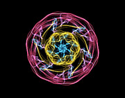 HJ-Whisp Flower Digital Art by Vix Edwards