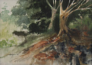 Hobbits Tree Painting by Anthony Coulson