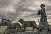 Homeward Bound Photograph by Jason Politte