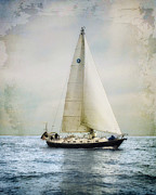 Homeward Bound Photograph by Karen Lynch