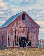 Horse and Red Barn Photograph by Kevin Anderson