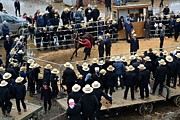 Horse Auction Photograph by Tana Reiff