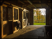 Horse Barn Sunset Photograph by Edward Fielding
