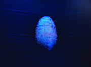 Human finger print as evidence of identity and as a password Photograph by Andrew Brookes