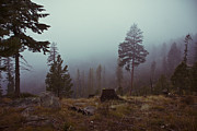 Hunting in the Clearwater mountains Idaho Photograph by Ron Roberts