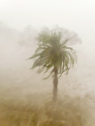 Hurricane Katrina Hits Gulfport Photograph by Science Photo Library