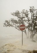Hurricane Katrina Lashing Gulfport Photograph by Science Photo Library