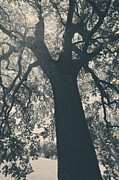I Can't Describe Photograph by Laurie Search I Can't Describe Photograph by Laurie Search