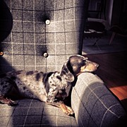 I Have The Best Company Today :-) Photograph by Derek Kaplan