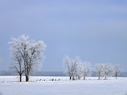 Ice Blue Photograph by Peggy King