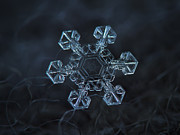 Snowflake photo - Ice crown Photograph by Alexey Kljatov