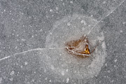 Ice Fishing Hole 10 Photograph by Steven Ralser