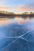 Ice Phoenix Photograph by Bryan Bzdula