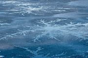 Icy Designs Photograph by Cathy Kovarik