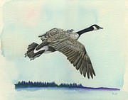 In Flight Drawing by Rosellen Westerhoff