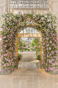 In the Palace of Dreams Photograph by Marilyn Cornwell
