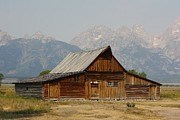 In the Tetons Morman Row Photograph by Veronica Batterson