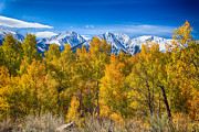 Independence Pass Autumn View Photograph by James BO Insogna