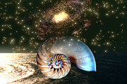 Inner Space Outer Space Digital Art by Lisa Yount