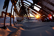 Inside a Skeleton Photograph by Jakub Sisak