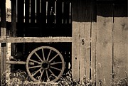 Inside An Amish Farm Photograph by DArcy Evans Inside An Amish Farm Photograph by DArcy Evans