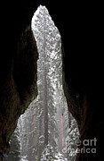 Inside Giant Sequoia Photograph by Gregory G. Dimijian, M.D. Inside Giant Sequoia Photograph by Gregory G. Dimijian, M.D.