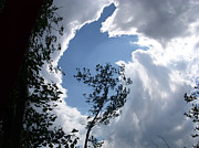Into the Sky Photograph by Aimee L Maher ALM GALLERY Into the Sky Photograph by Aimee L Maher ALM GALLERY