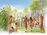 Iroquois Settlement  by Science Photo Library