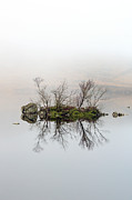 Island of Trees Reflection Photograph by Grant Glendinning Island of Trees Reflection Photograph by Grant Glendinning