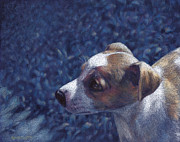 Jack Russell Terrier on Blue Drawing by Ben Hartnett