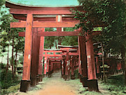 Japan Torii, C1890 Photograph by Granger Japan Torii, C1890 Photograph by Granger