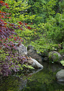 Japanese Garden Photograph by Larry Bohlin
