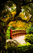 Japanese garden Photograph by Rudy Viereckl