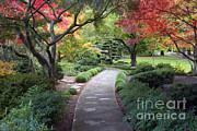 Japanse Garden Photograph by Sean Bagshaw