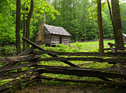 Jim Bales Cabin, Great Smoky Mountains National Park Photograph by Doug McPherson