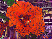 Joy in the Morning Digital Art by Vallee Johnson