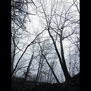 Just A Little #fog During A Recent #hike Photograph by Craig Szymanski